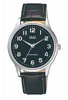 Часы наручные Q&Q C10A-012PY