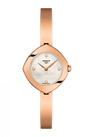 Часы наручные TISSOT T113.109.33.116.00