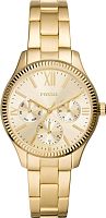 Часы наручные FOSSIL BQ3692
