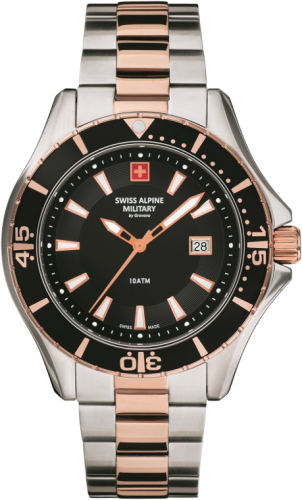 Часы наручные SWISS ALPINE MILITARY 7040.1157SAM