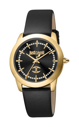 Часы наручные JUST CAVALLI JC1L211L0025