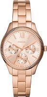 Часы наручные FOSSIL BQ3691