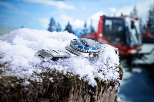 Часы наручные SWISS ALPINE MILITARY 7053.9135SAM фото 3