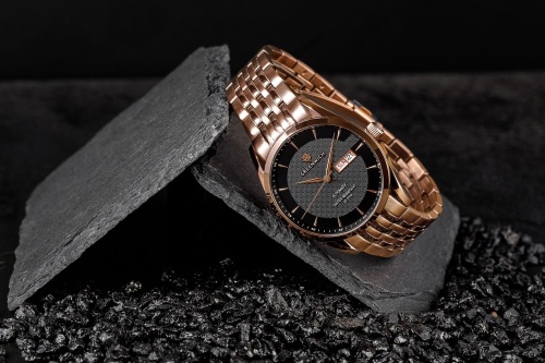 Часы наручные GREENWICH GW 074.40.31 фото 3