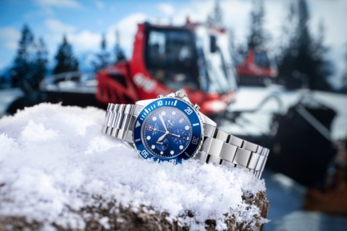 Часы наручные SWISS ALPINE MILITARY 7053.9135SAM фото 2