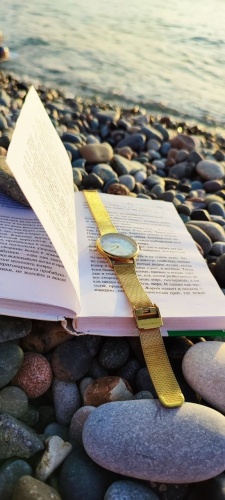 Часы наручные GREENWICH GW 341.49.53 фото 2