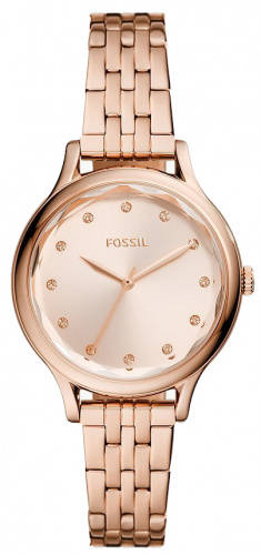 Часы наручные FOSSIL BQ3862