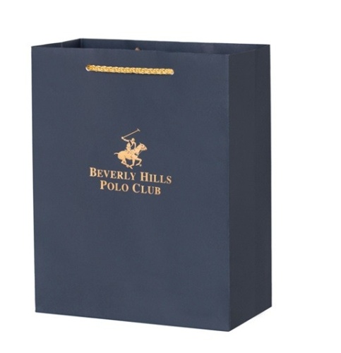 Часы наручные BEVERLY HILLS POLO CLUB BP3622X.650 фото 5
