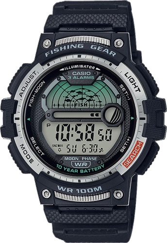 Часы наручные CASIO WS-1200H-1A
