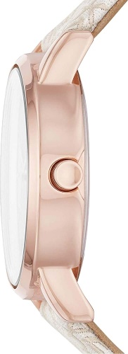 Часы наручные DKNY NY2887 фото 2